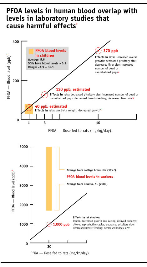 Infographic showing levels of PFC chemicals in human blood