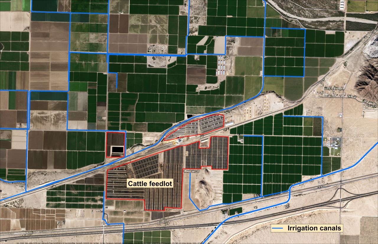 Yuma feedlot canals